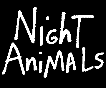 Night Animals: a free animal guessing game and online story book about nocturnal  animals for kids, children, and preschoolers